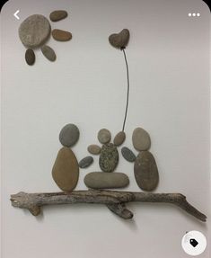 a branch with some rocks and a plant on it