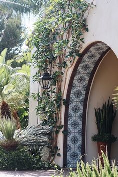 a house with plants growing on the side of it and an arched doorway leading to another building