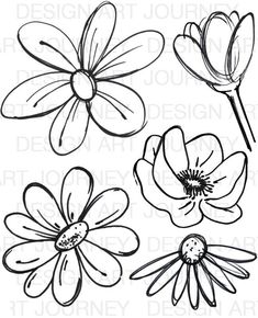 four flowers with one flower in the middle and two on the bottom, all black and white