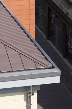 a bird is perched on the roof of a building