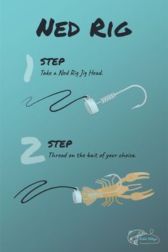 Ned Rig Graphic How to Tie Fish Chart, The Ned, Fishing Basics, Happy Fishing, Fishing Rod Storage, Bass Bait