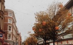 an orange tree on the corner of a city street