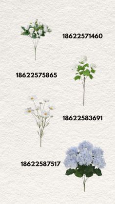 the flowers are arranged in different sizes and colors, with numbers on each one side