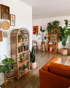 a living room filled with lots of potted plants next to a brown couch and wooden shelves