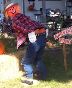 a scarecrow is standing next to a hay bale with a sign that says harvest moon