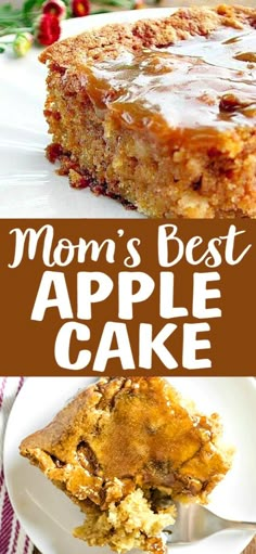 mom's best apple cake recipe