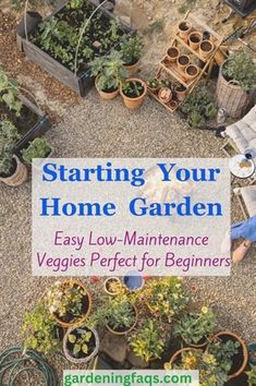 Planting A Small Vegetable Garden, Starting A Raised Garden For Beginners, Kitchen Garden For Beginners, Best Garden Plants For Beginners, How To Start Garden, Vegetables To Grow In Raised Beds, Starting Vegetable Garden, Best Vegetables To Grow For Beginners, Easy Beginner Garden Layout