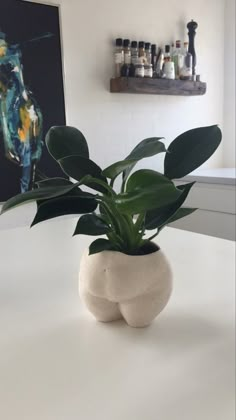 a plant in a white vase sitting on top of a table