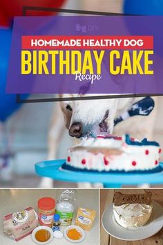 a birthday cake with the words homemade healthy dog birthday cake recipe on it and pictures of cakes