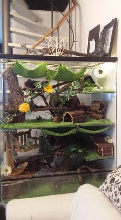 a living room filled with lots of furniture and plants in a glass case on top of a white couch