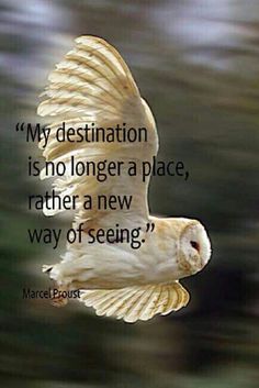 an owl flying through the air with a quote above it that reads, my destination is no longer a place, rather a new way of seeing?