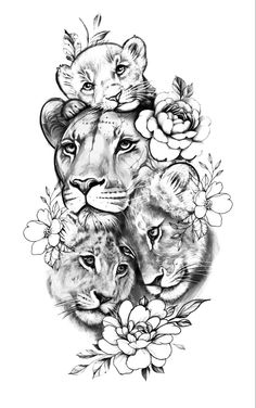 an ink drawing of three lions surrounded by flowers