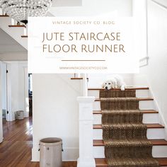 a white dog sitting on top of a set of stairs