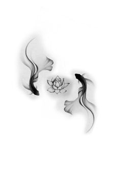 two black and white fish swimming next to each other in the water with a flower on top