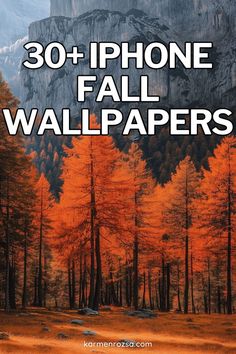 30+ beautiful free phone fall wallpaper! Refresh your phone with stunning fall designs that bring the essence of autumn to your fingertips. These wallpapers, filled with warm tones and nature-inspired elements, will perfectly complement any fall designs for the home. Iphone Wallpaper Fall Autumn, Wallpaper Fall Autumn, Wallpaper Fall, Fall Designs