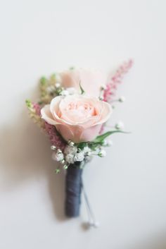 a pink rose and baby's breath boutonniere on a white background