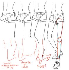 the drawing shows how to draw different types of shorts and their sizes, from short to long