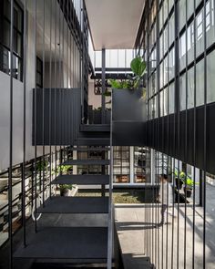 the stairs are made of metal and have plants growing on each one side, along with potted plants