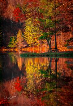 a lake surrounded by trees in the fall with leaves on it and red, yellow and green foliage