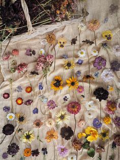 a bunch of flowers that are on a blanket