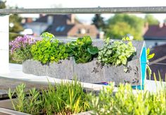 a planter filled with lots of plants on top of a roof