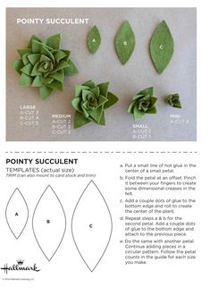 the instructions for making paper succulents are shown in this page, which shows how