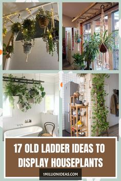 17 Old Ladder Ideas To Display Houseplants Plant Ladders Indoor, Hanging Ladder For Plants, Ladder To Hang Plants, Ladder Plant Holder, Plants On Ladder, Ladder For Plants, Greenhouse Makeover