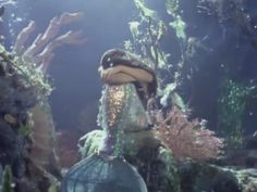 an underwater scene with rocks and corals