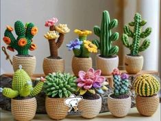 small crocheted cactuses are arranged in different sizes and shapes, with flowers on them