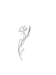 a line drawing of a flower on a white background