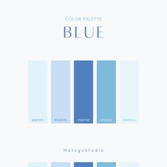 the color palette is blue, and it has different shades