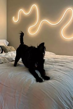 a black dog laying on top of a bed next to a wall with neon lights