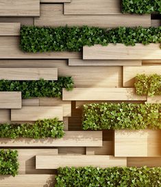 a wooden wall with plants growing on it