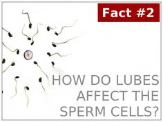 Do lubes kill sperm? Firstly, lubes are nothing but lubricants. They are products that are used to decease the vaginal dryness. Pregnancy Problems, Prenatal, Business Outfits, Parenting, Make It Yourself