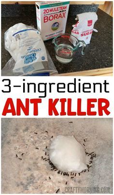 the ingredients for an anti - killer recipe are shown in this collage with text overlay