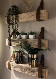 two wooden shelves with plants on them and some potted plants hanging from the wall