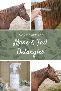 homemade mane and tail detangler is an easy way to keep your horse healthy