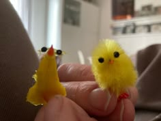 two tiny yellow chicks sitting on top of each other's fingers in front of a persons hand