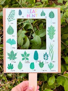 a hand holding up a wooden frame with leaves and plants on it in front of some bushes