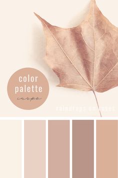 an image of a leaf that is color palette