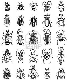 a bunch of bugs that are drawn in black and white