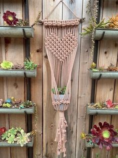 a macrame plant hanger with succulents and other plants