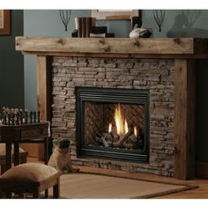 a fire place in a living room with a dog sitting on the floor next to it