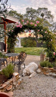 a white dog laying on top of a gravel ground next to a table and chairs