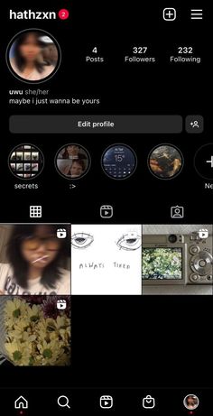 the instagram app for whatsapp is showing pictures and texting on it