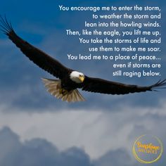 an eagle soaring through the sky with a poem below it