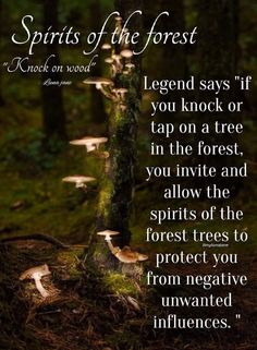 Forest Quotes, Nature Witch, Witch Quotes, Legends And Myths, Forest Bathing, Herbal Magic, Witch Magic, Practical Magic