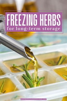 a tray filled with liquid pouring from a faucet onto top of it and the words freezing herbs for long - term storage