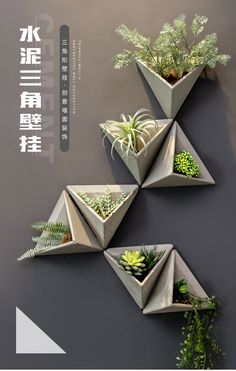 four planters with succulents and plants in them are arranged on the wall