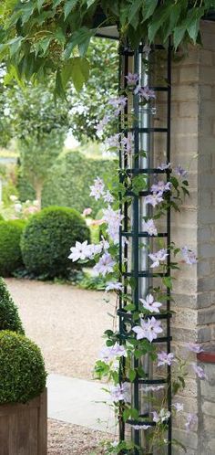 an arbor with flowers growing on it next to a brick building and shrubbery in the background